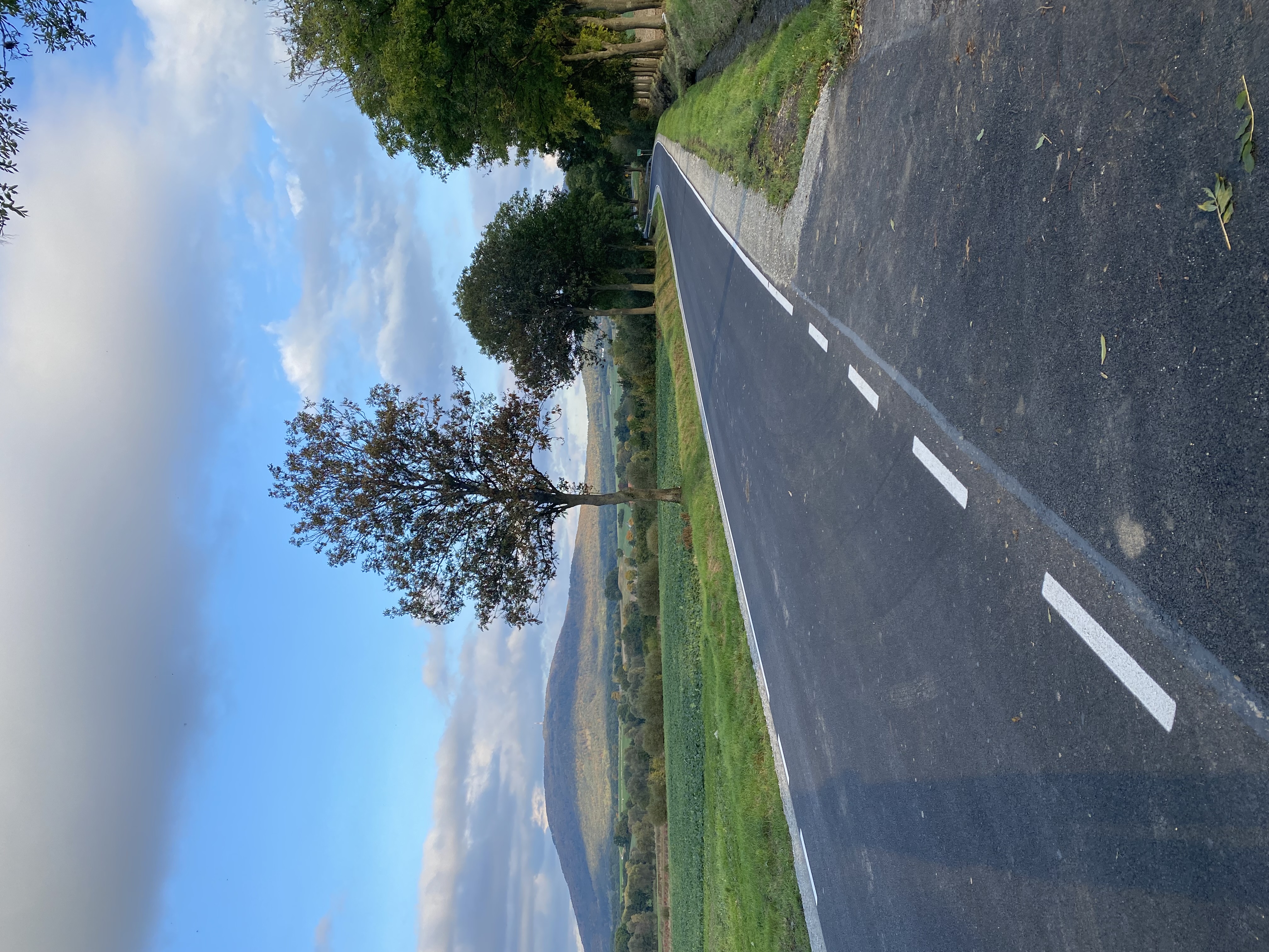 Droga publiczna Wiry - Wirki